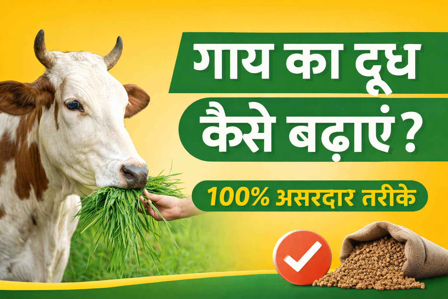 गाय का दूध कैसे बढ़ाएं?